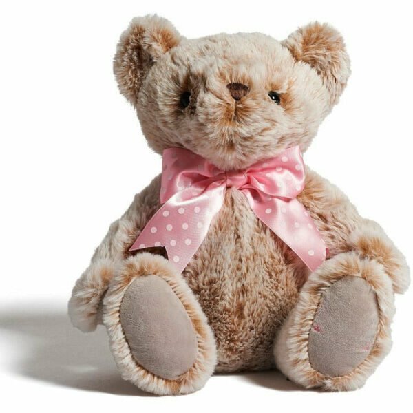 Schwarz Teddy Bear – 10-Inch Plush Companion