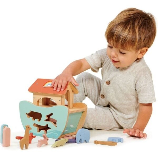 Wooden Shape-Sorter Toy