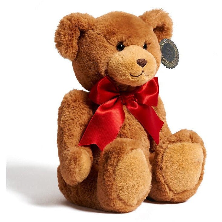 Teddy Bear Plush Companion